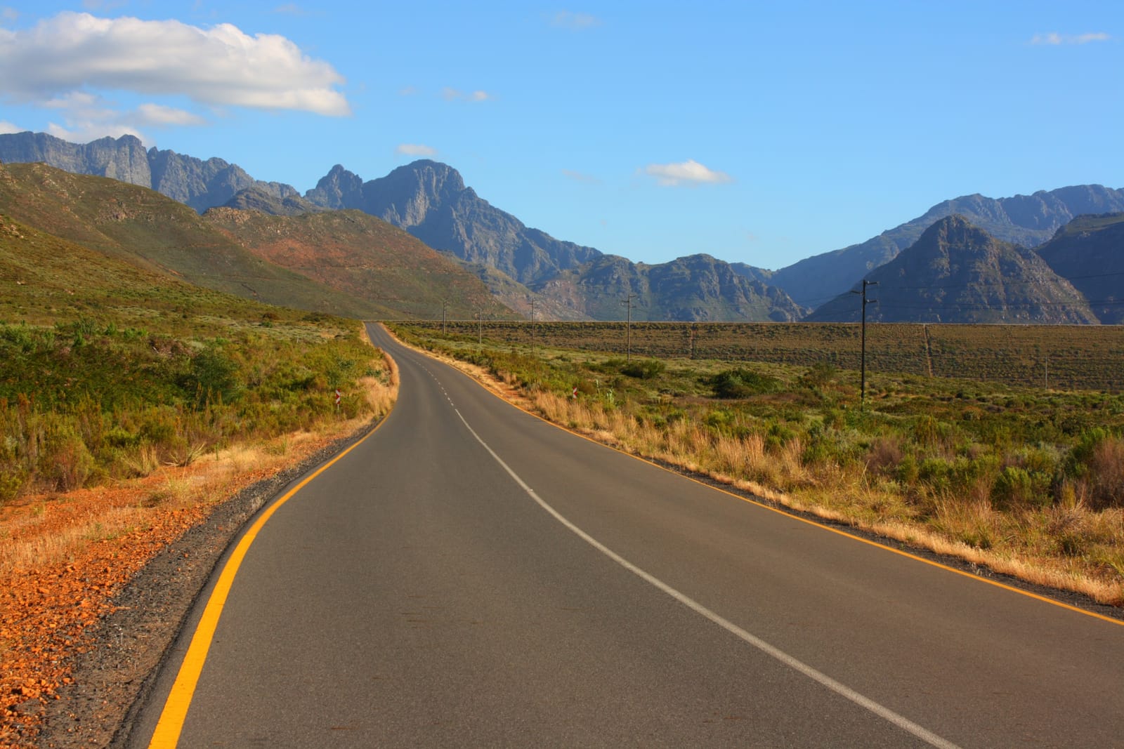 Leere Landstraße führt durch Fynbos auf eine Bergkette zu