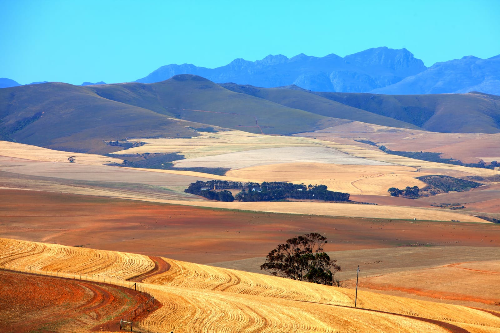Abgeerntete Weizenfelder in hügeliger Landschaft, dahinter eine Bergkette